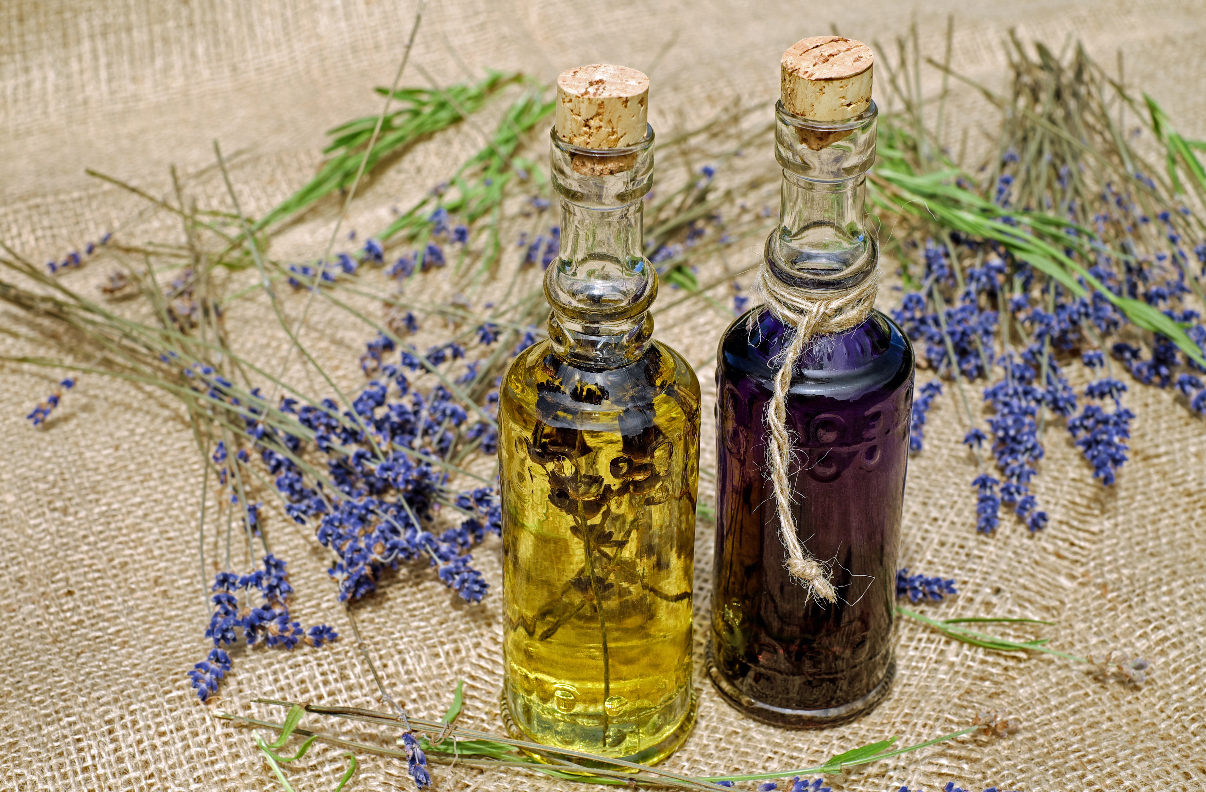 Herbes et fleurs